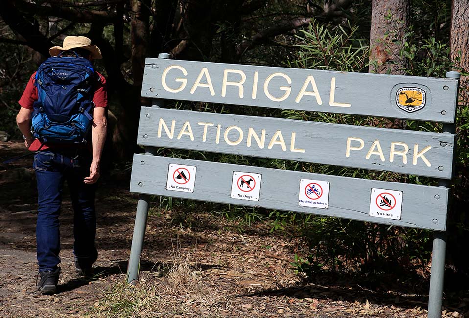 Go for a peaceful bush walk in Garigal National Park