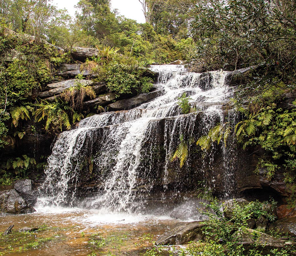 Go on a bushwalk to the nearby Oxford Falls